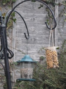 homemade bird feeder easy to make